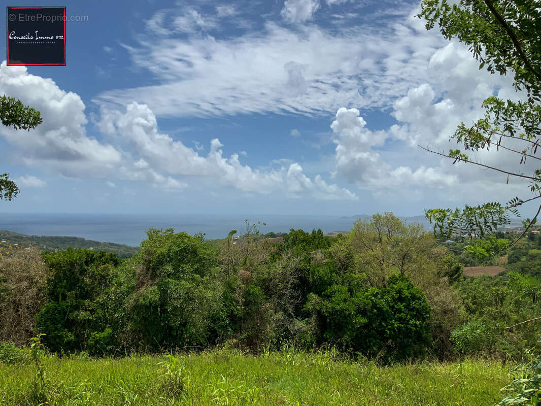 Terrain à SAINTE-MARIE