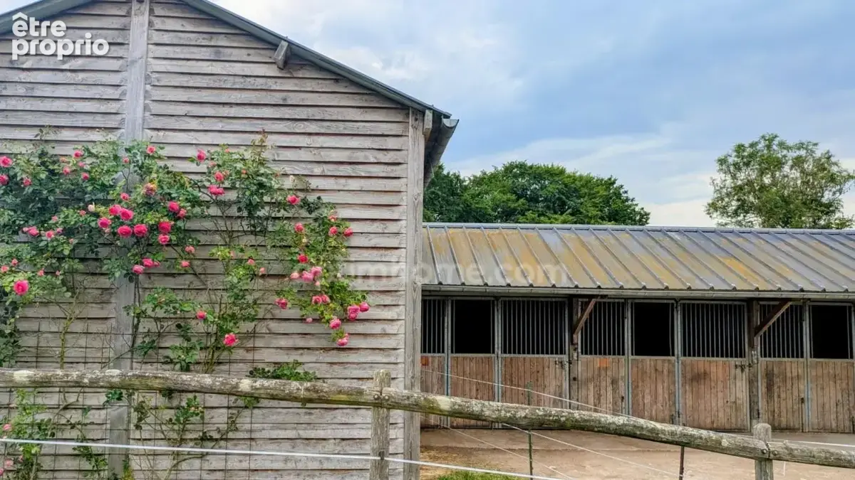Propriété équestre 200 m² sur 1 ha (4 boxes, hangar et dépendances) départ balades immédiat - photo 3