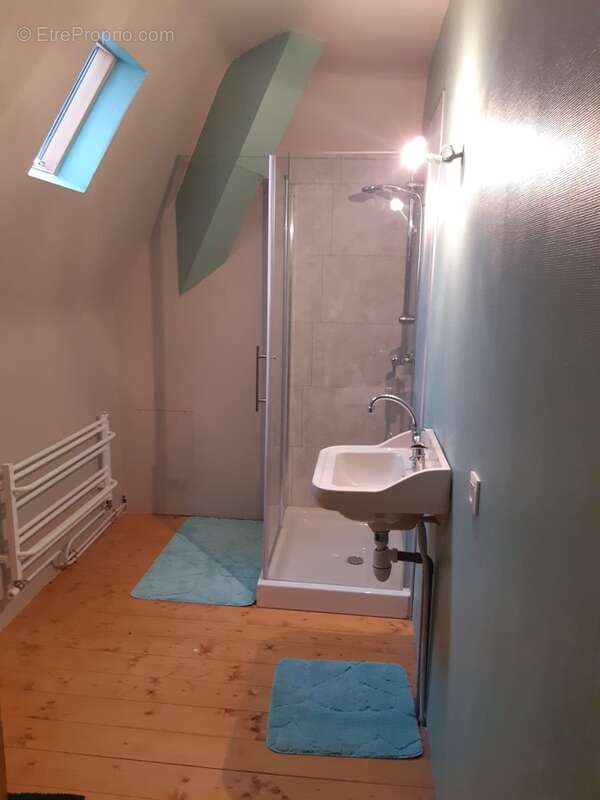 Maison de caractère de 275m2 et ses 1607 m2 de terrain clos - photo 8