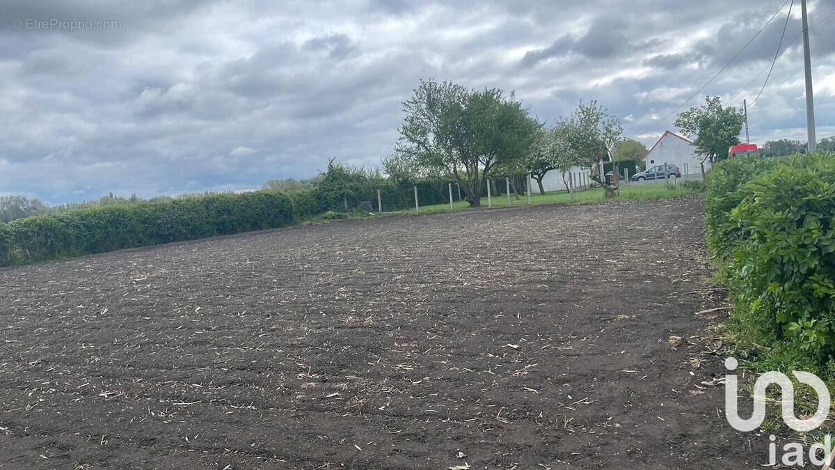 Photo 1 - Terrain à LOOBERGHE