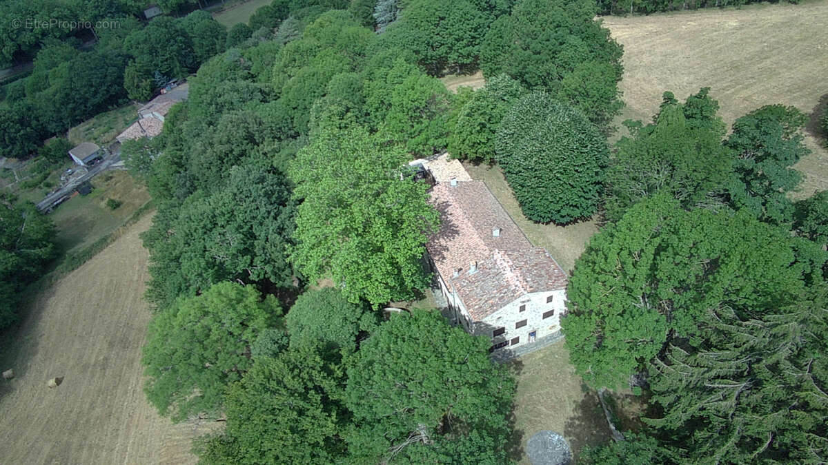 Haute Corbières - 20min de Limoux - Propriété d’Exception avec 98 ha de Forêt et Dépendances - photo 14