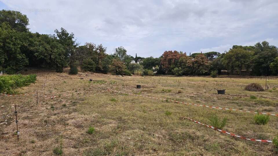 Terrain à FREJUS