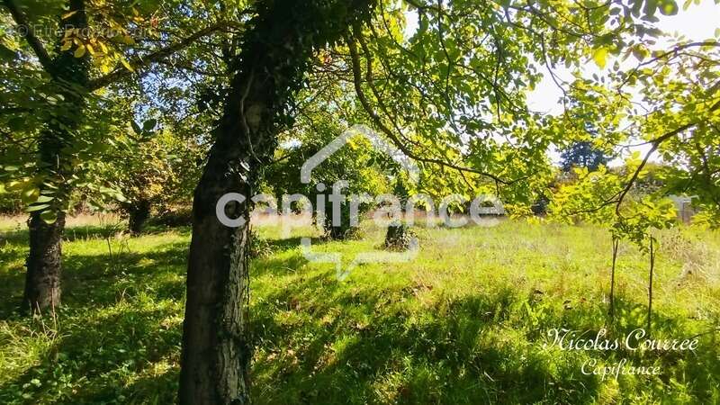 Maison à SAUZE-VAUSSAIS