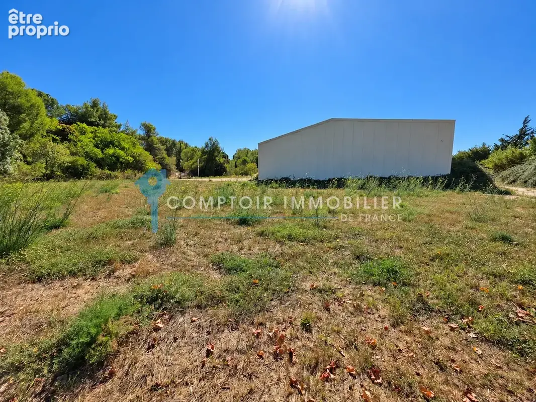 Dpt Hérault (34), Secteur Pic Saint-Loup, Hangar de 660m2, parcelle de 5000m2 - photo 3