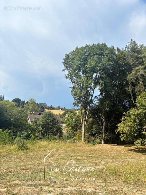 Terrain constructible viabilisé - 2100m2 - Brié et Angonnes - photo 2
