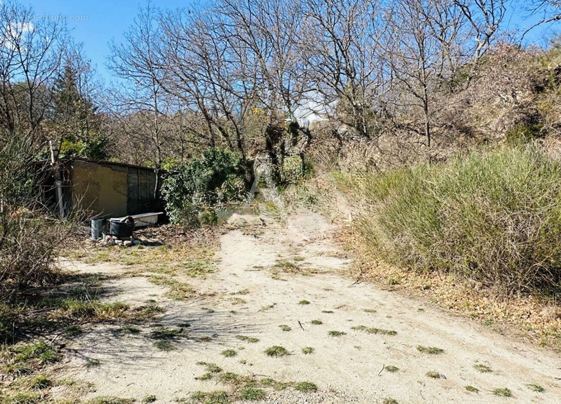 Terrain à ILLE-SUR-TET