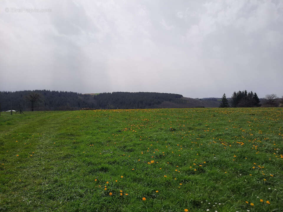 Terrain 1500 m² à Roannes-Saint-Mary  - photo 2