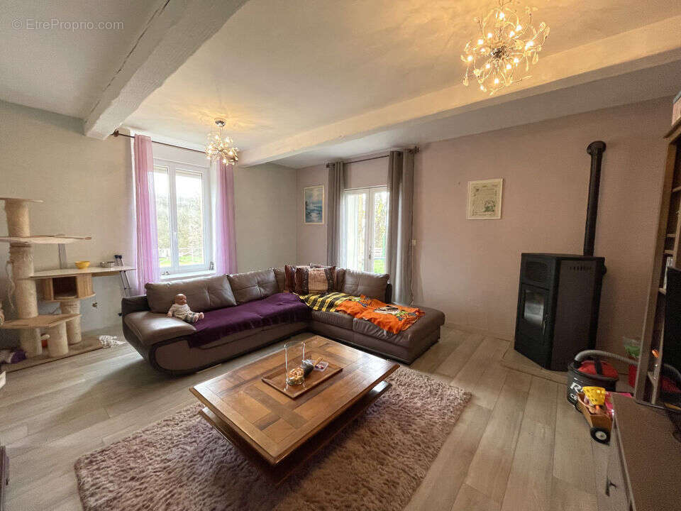 Maison 275 m² à Hauterives  - photo 5