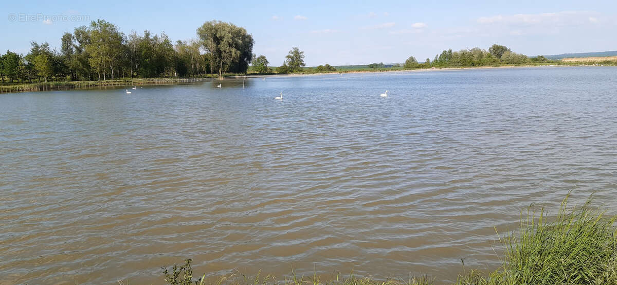 Terrain à VIGNEULLES-LES-HATTONCHATEL