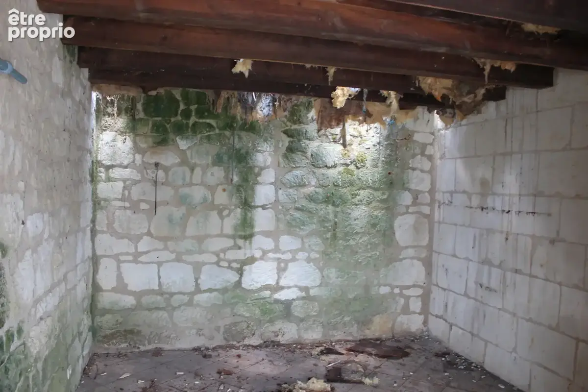 Chouzé-sur-loire - photo 5