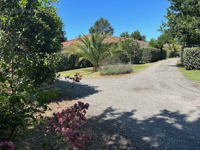Maison à SAINTE-EULALIE-EN-BORN