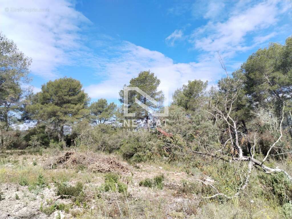 Montauroux - superbe terrain en zone naturelle   5 hectares ! - photo 3