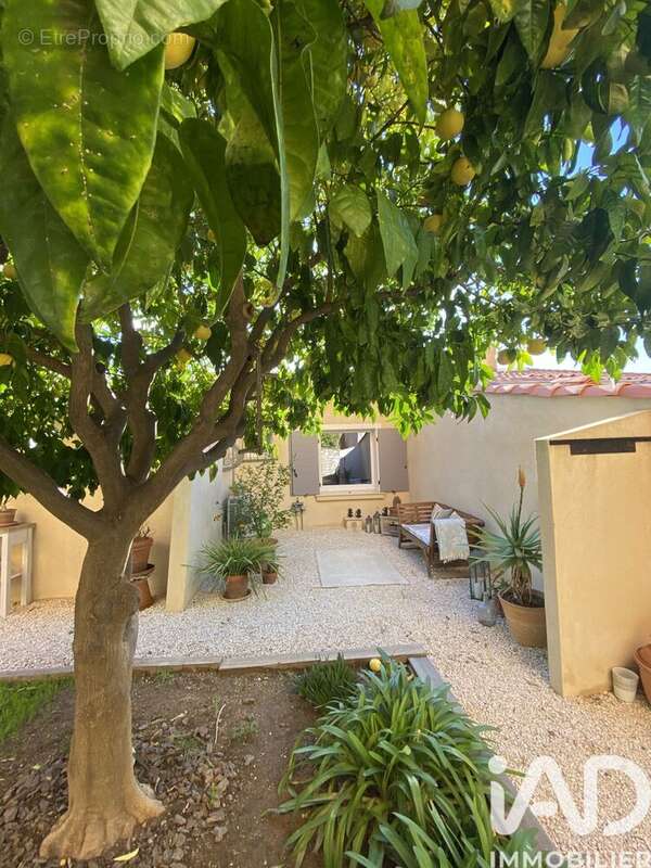 Photo 8 - Maison à COGOLIN