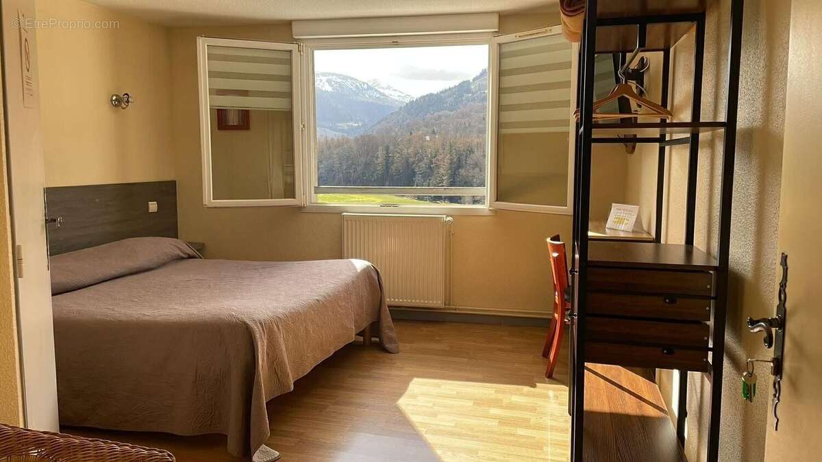 Commerce 548 m² à Le Falgoux  - photo 6