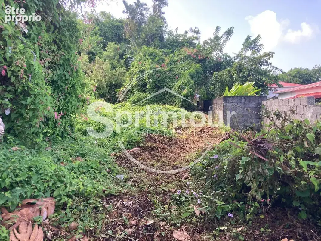 À vendre   Terrain constructible de 2999 m2 à Basse-Terre - photo 12