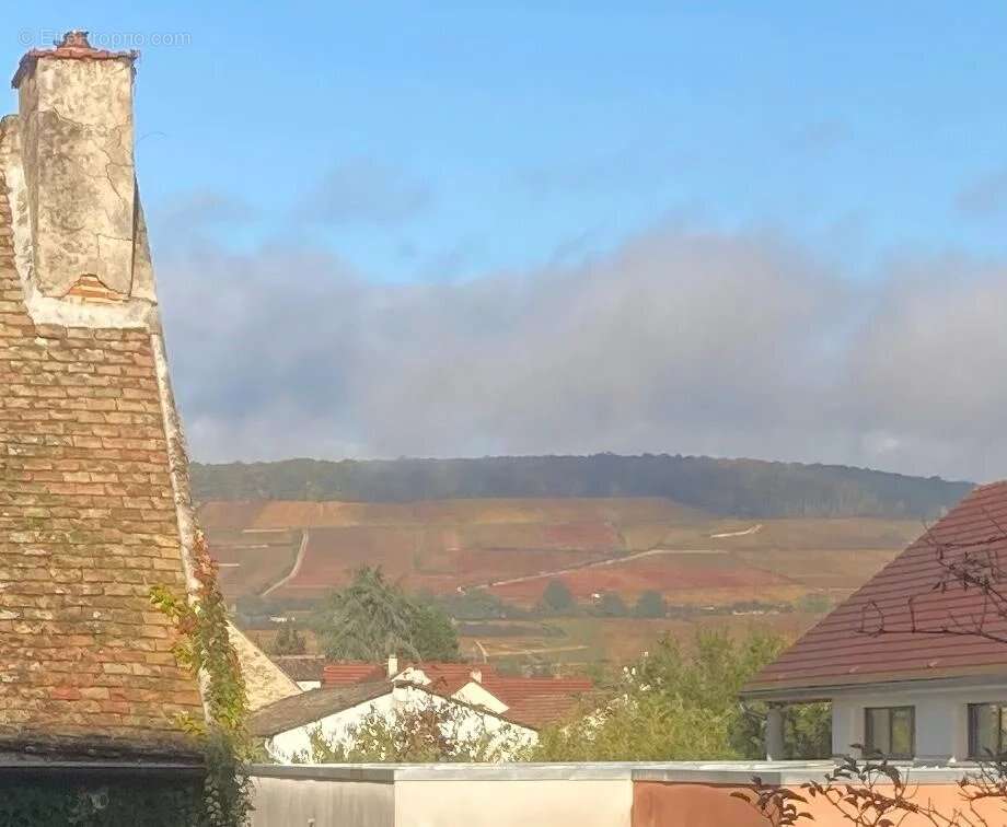 Maison à LADOIX-SERRIGNY