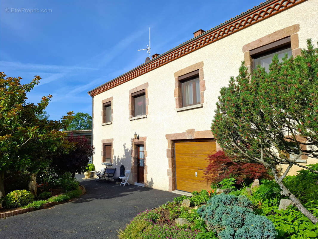 Arvant - Maison de plain pied - 115m2 - 3 chambres - 4500m2 de parcelles construtibles - photo 3