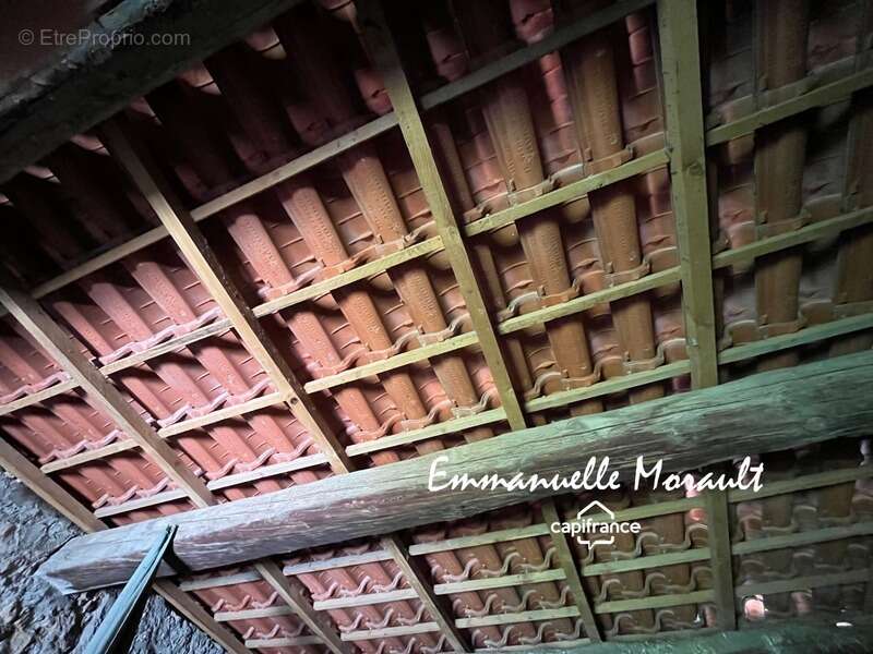 Commerce à BAGNOLS-EN-FORET