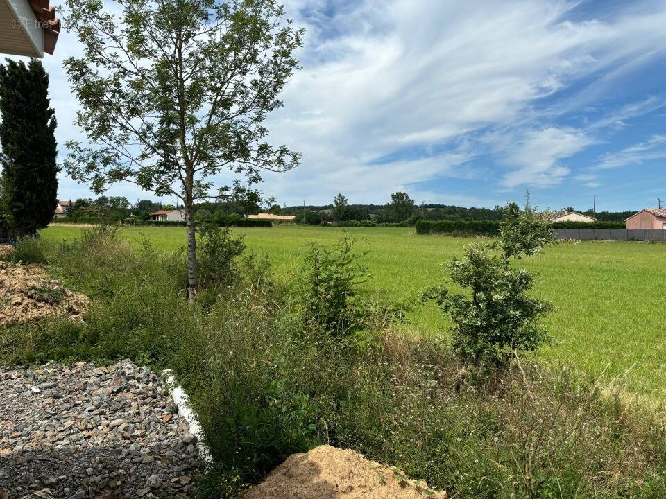 Terrain à SAINT-GAUZENS