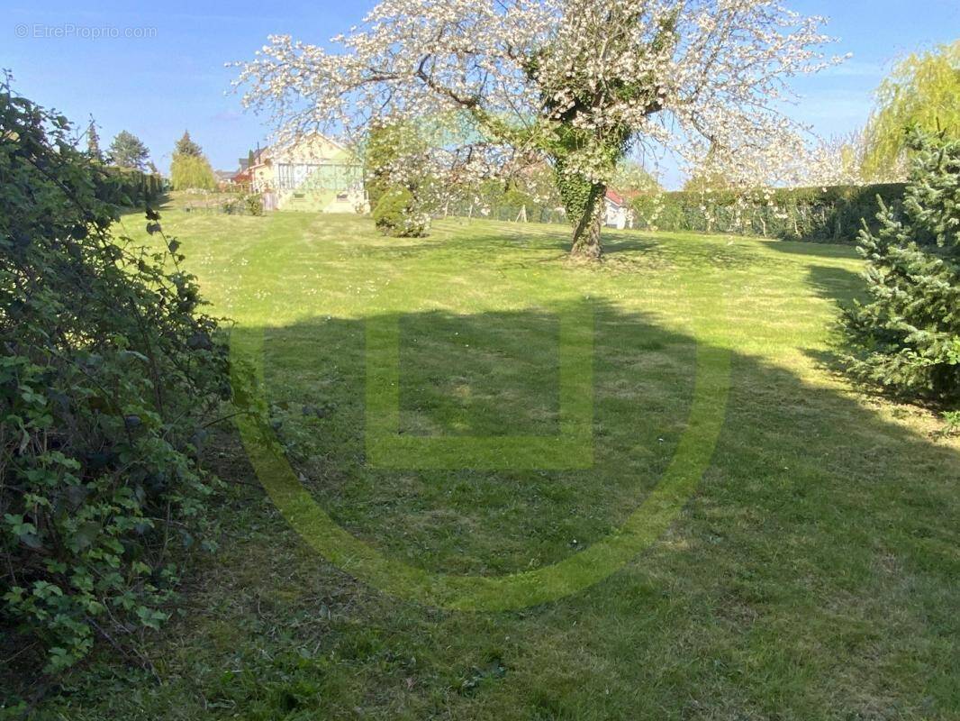 Terrain à NEUVILLE-SAINT-REMY