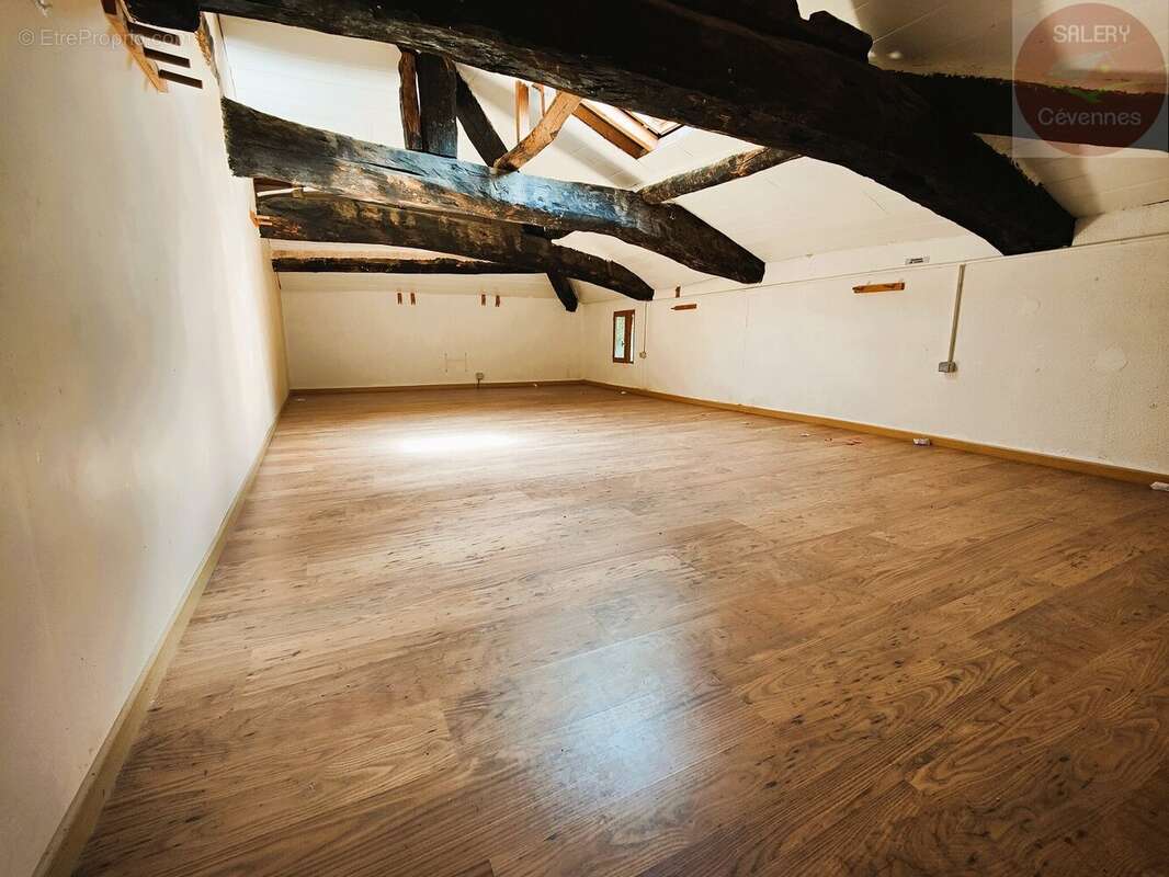 Maison à SAINT-ANDRE-DE-VALBORGNE