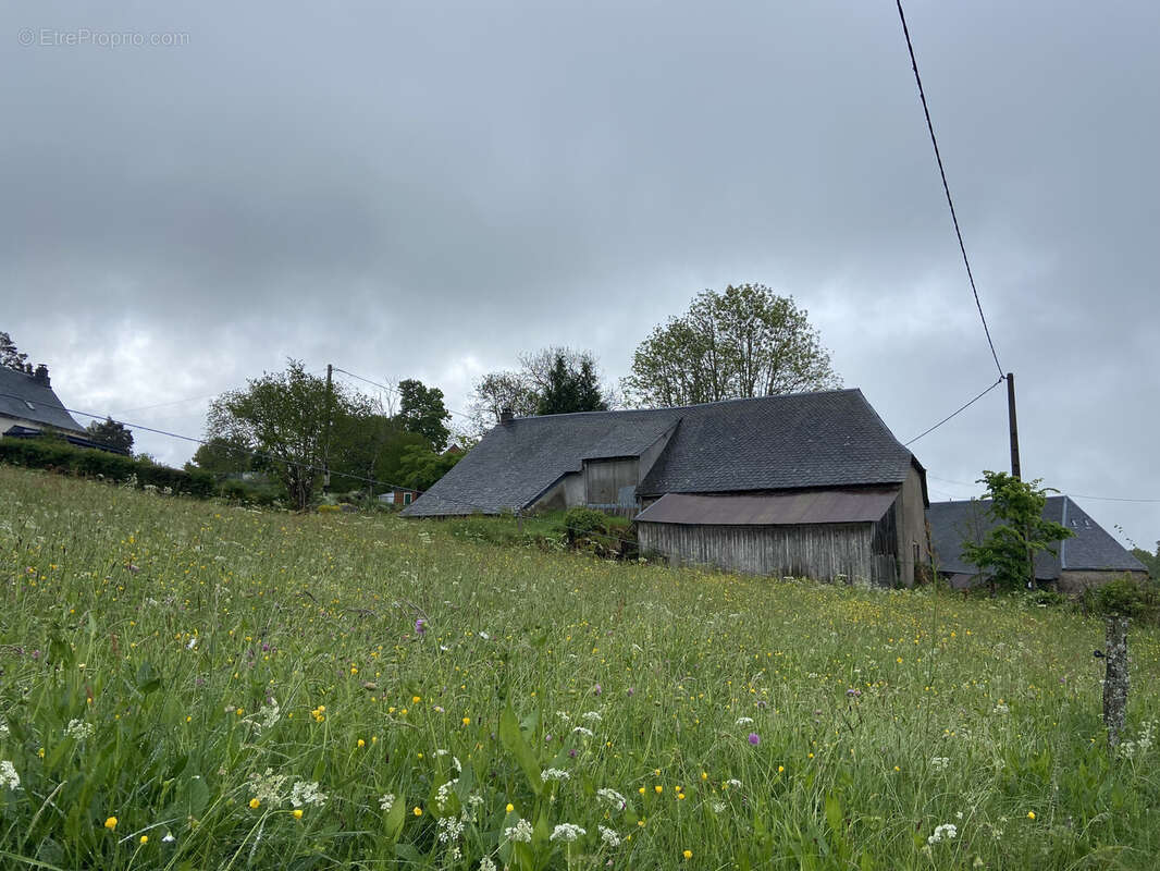 Maison à SAINT-GENES-CHAMPESPE