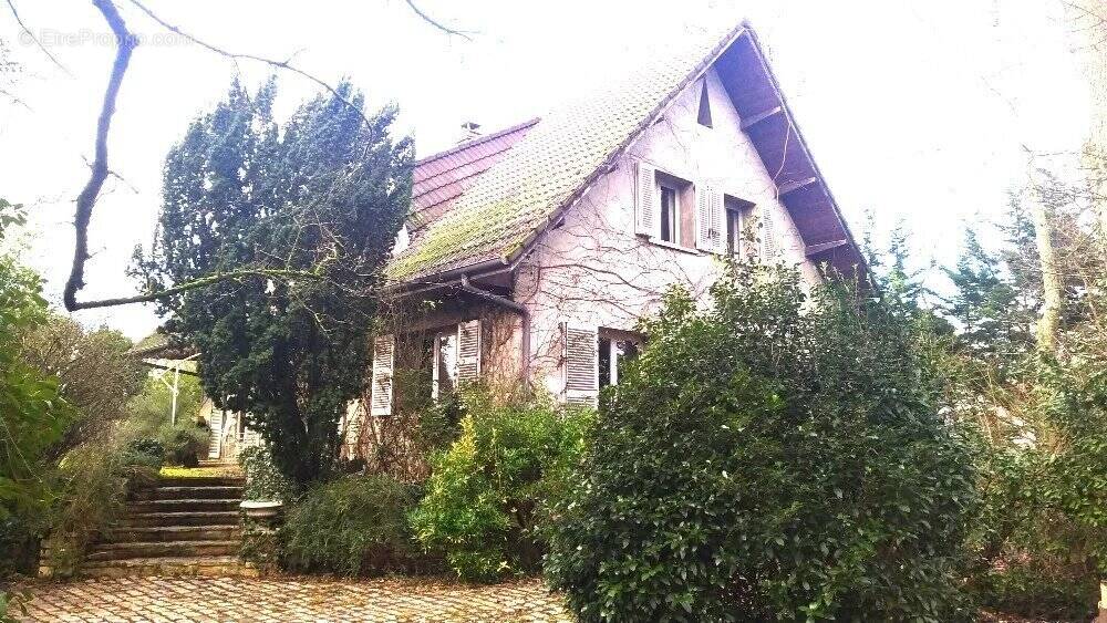 Maison à CHEVIGNY-SAINT-SAUVEUR