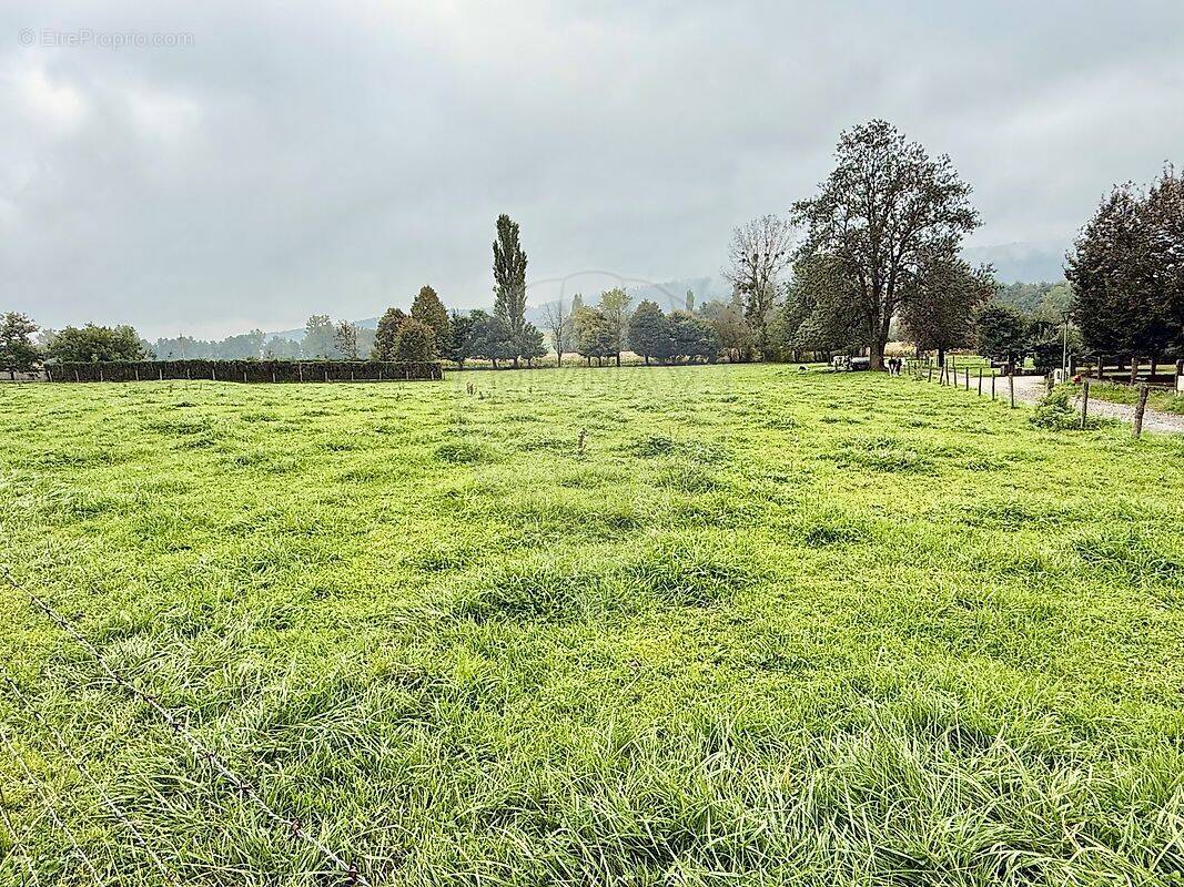 Terrain à WERENTZHOUSE