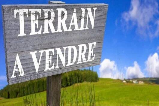 Terrain à DINGY-EN-VUACHE