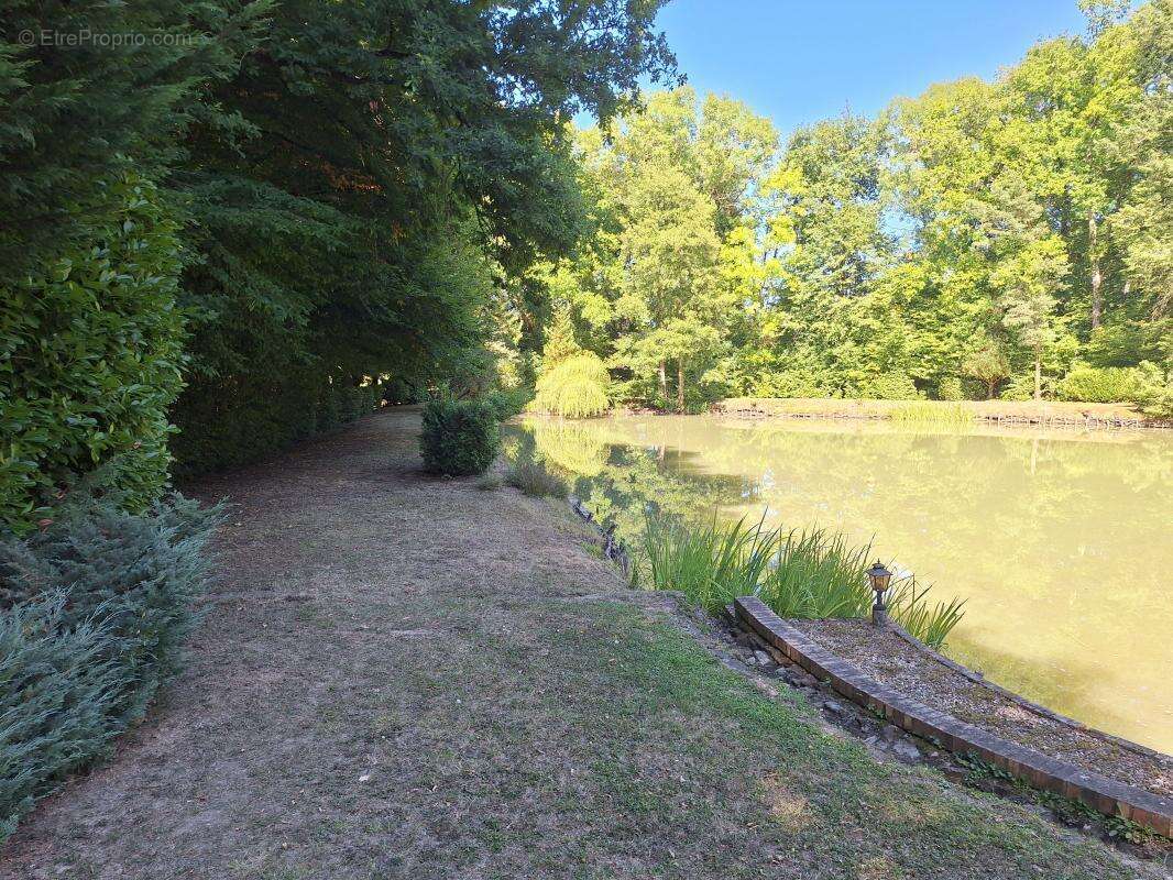 Maison à SAVIGNY-EN-SANCERRE