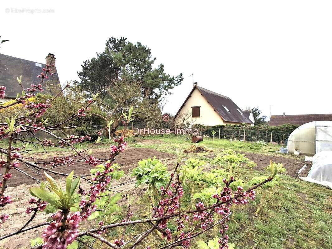 Terrain à JULLOUVILLE