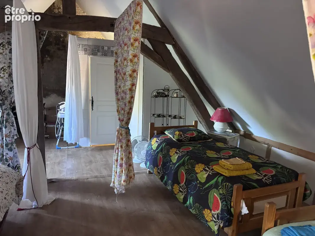 Le Veurdre - Ancien moulin à eau avec une maison spacieuse et un petit bout de rivière sur un terrain de 1,7 h - photo 18