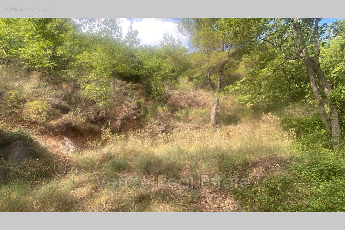 Terrain 5092 m² à Tourrettes-Sur-Loup  - photo 5