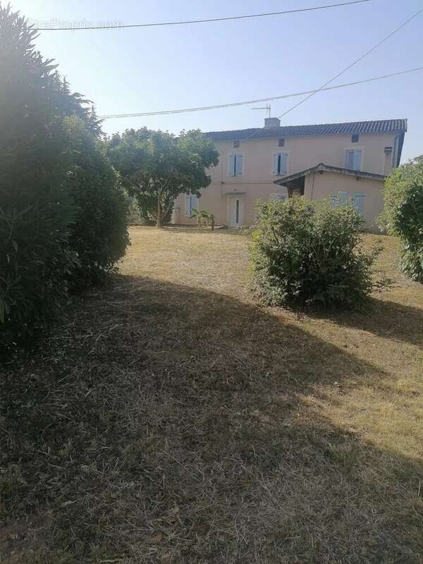 Maison 170 m² à Lisle-Sur-Tarn  - photo 2