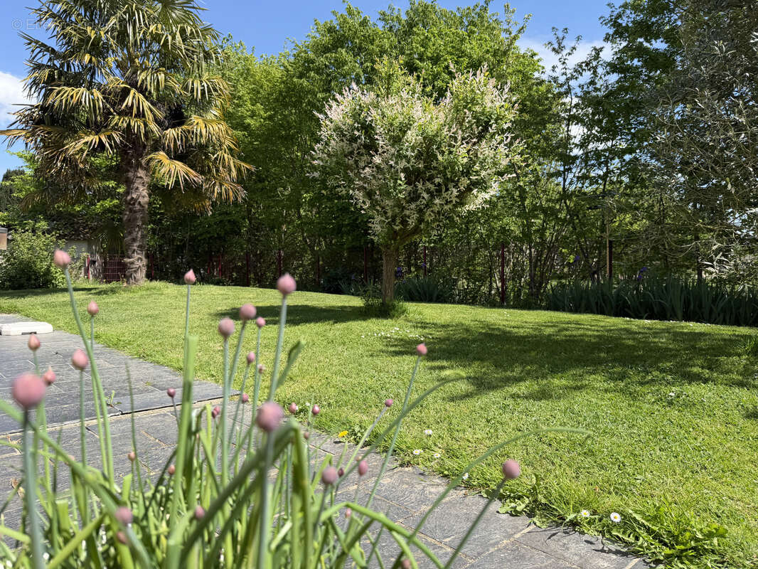 Maison à BOUILLE-MENARD
