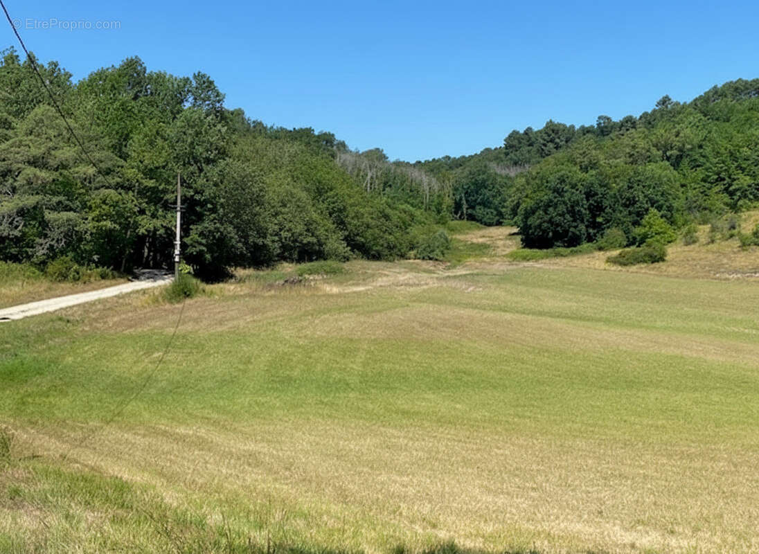 Dordogne manzac sur vern a vendre ou a louer - photo 12