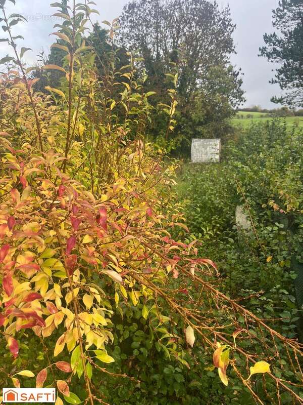 Photo 6 - Maison à FRUGES