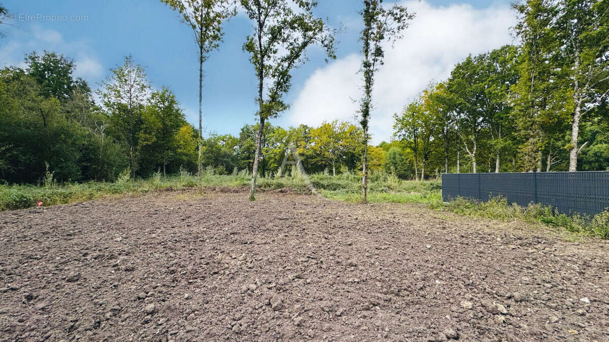 Maison à PRUNIERS-EN-SOLOGNE