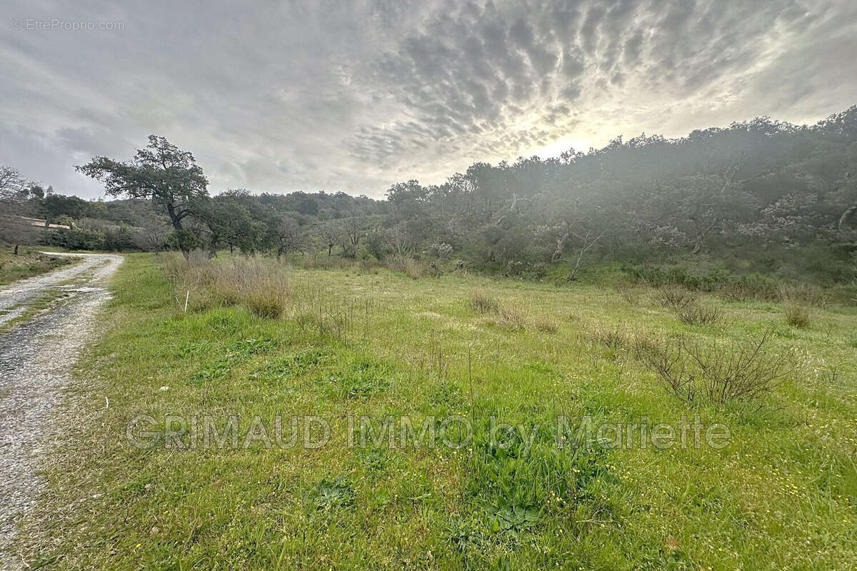 Terrain à GRIMAUD