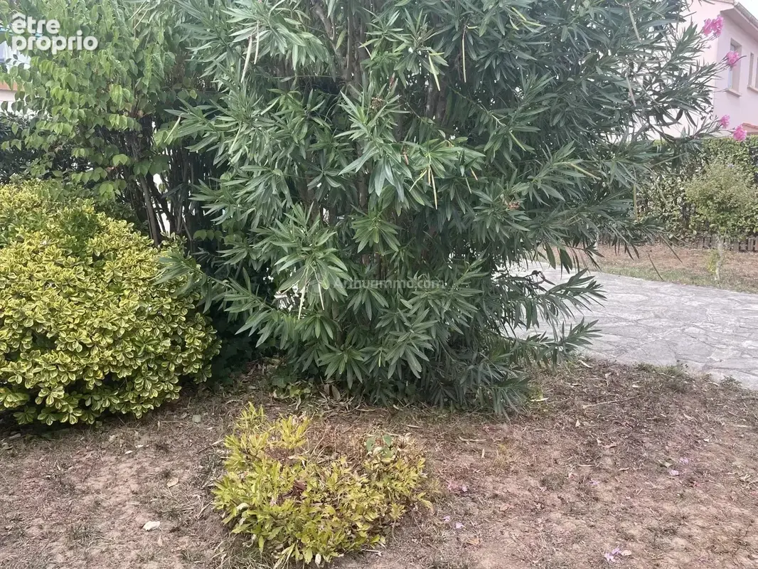 Grande maison familiale de 145 m² à Albi - photo 30