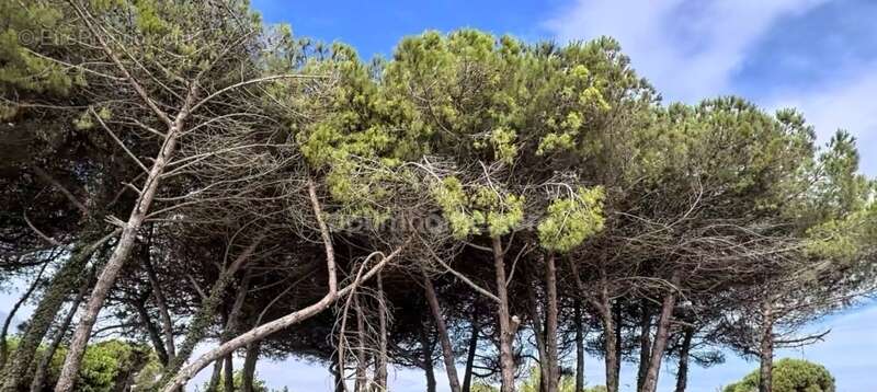 Terrain à LE BOIS-PLAGE-EN-RE