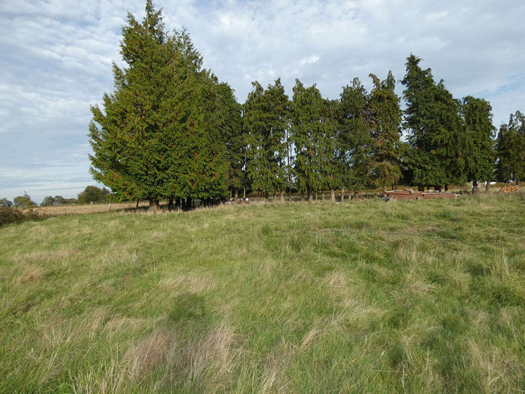 Maison à FOUGEROLLES-DU-PLESSIS