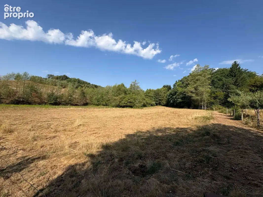 Terrain à CHAMPAGNEY