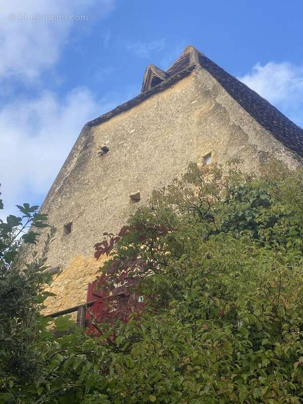 IMG4246 - Maison à BEYNAC-ET-CAZENAC