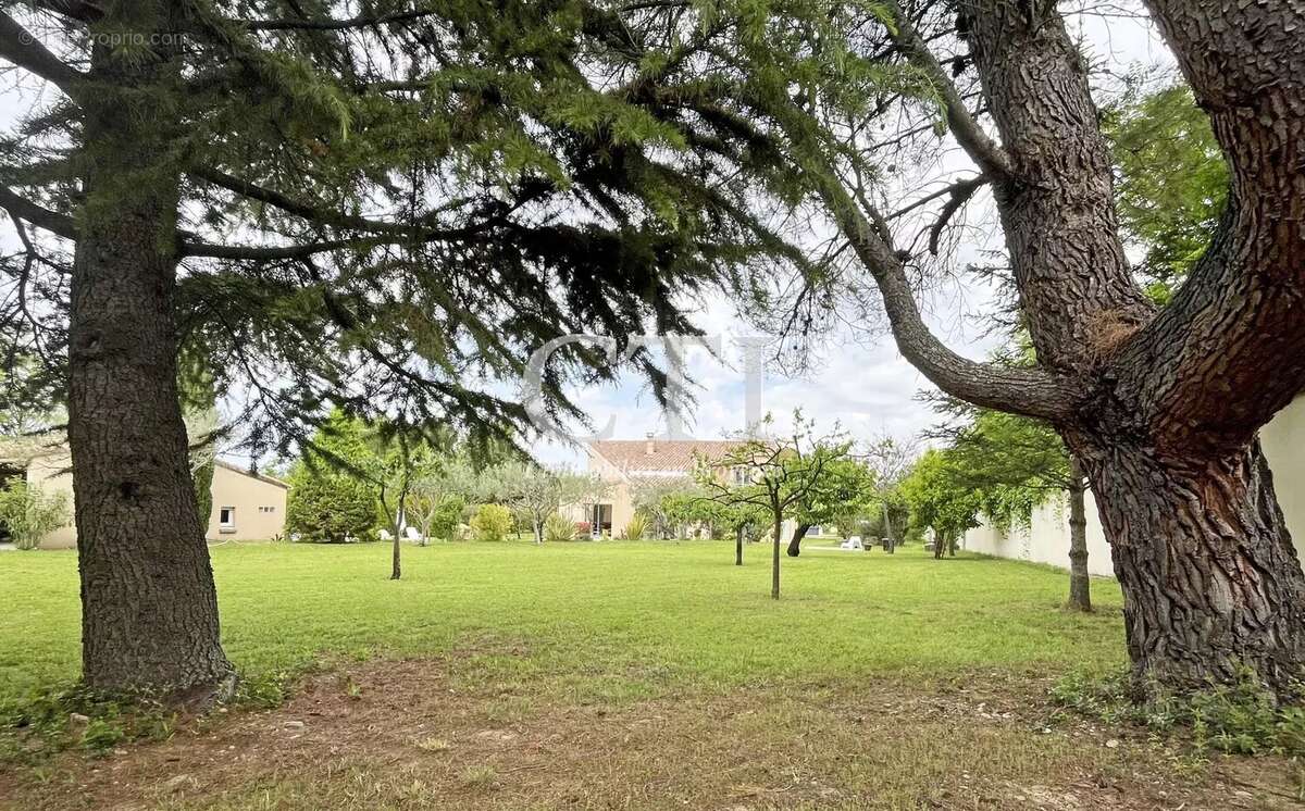 Villa architecturale d'exception avec vue sur le Mont-Ventoux, à proximité de L'Isle-sur-la-Sorgue - photo 6