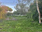 Terrain à SAINT-GEORGES-D&#039;OLERON