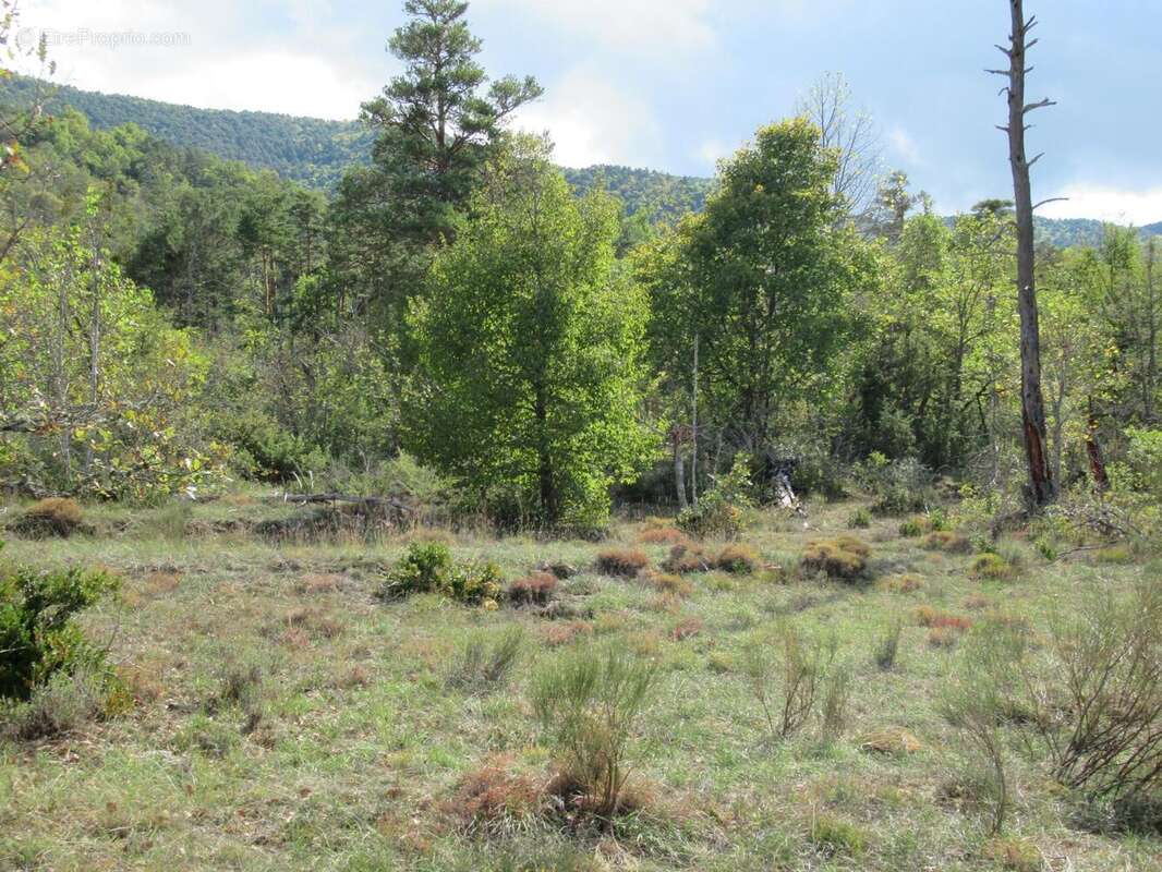 Photo 3 - Terrain à ENTREVAUX