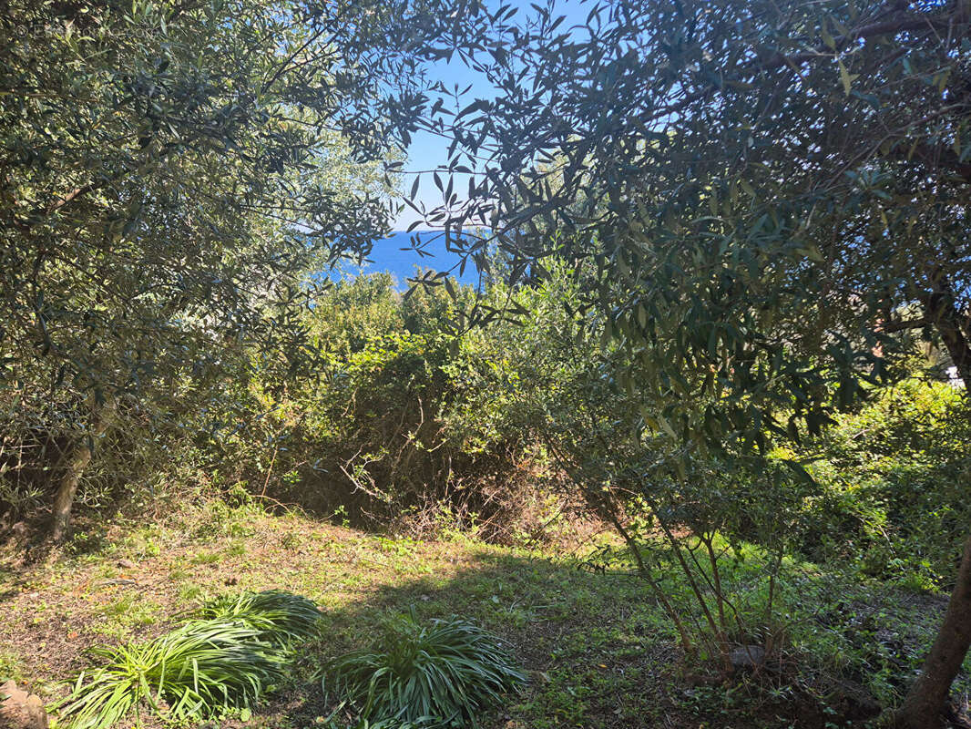 Maison à SANTA-MARIA-DI-LOTA