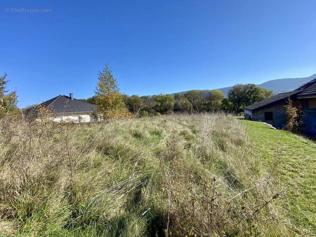 Photo 5 - Terrain à HAUTEVILLE-LOMPNES