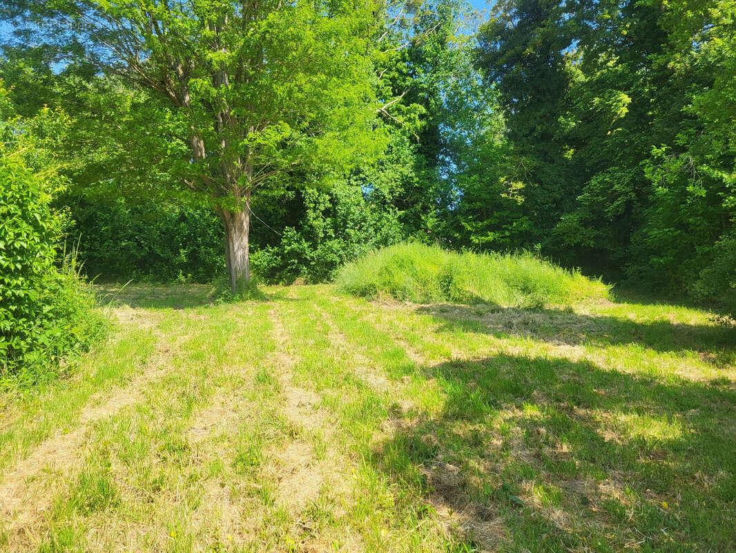 Photo 2 - Terrain à ALLERY